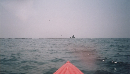 [写真3]