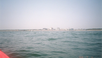 [写真8]
