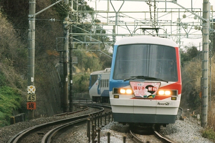 [踊り子観桜 (伊豆急車)]