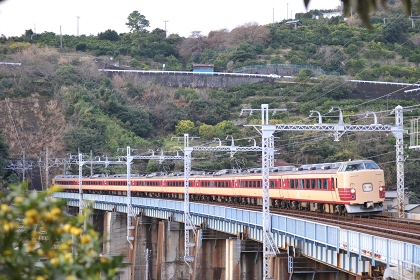 [成田山初詣伊東号]