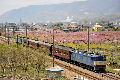 [レトロ桃源郷号]