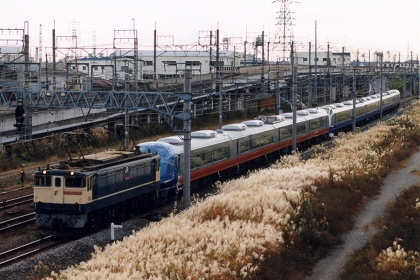 [E653系甲種]