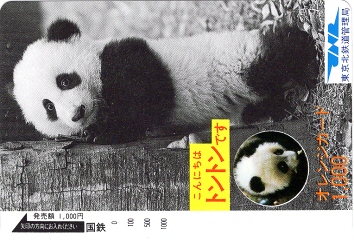 [切符の画像]